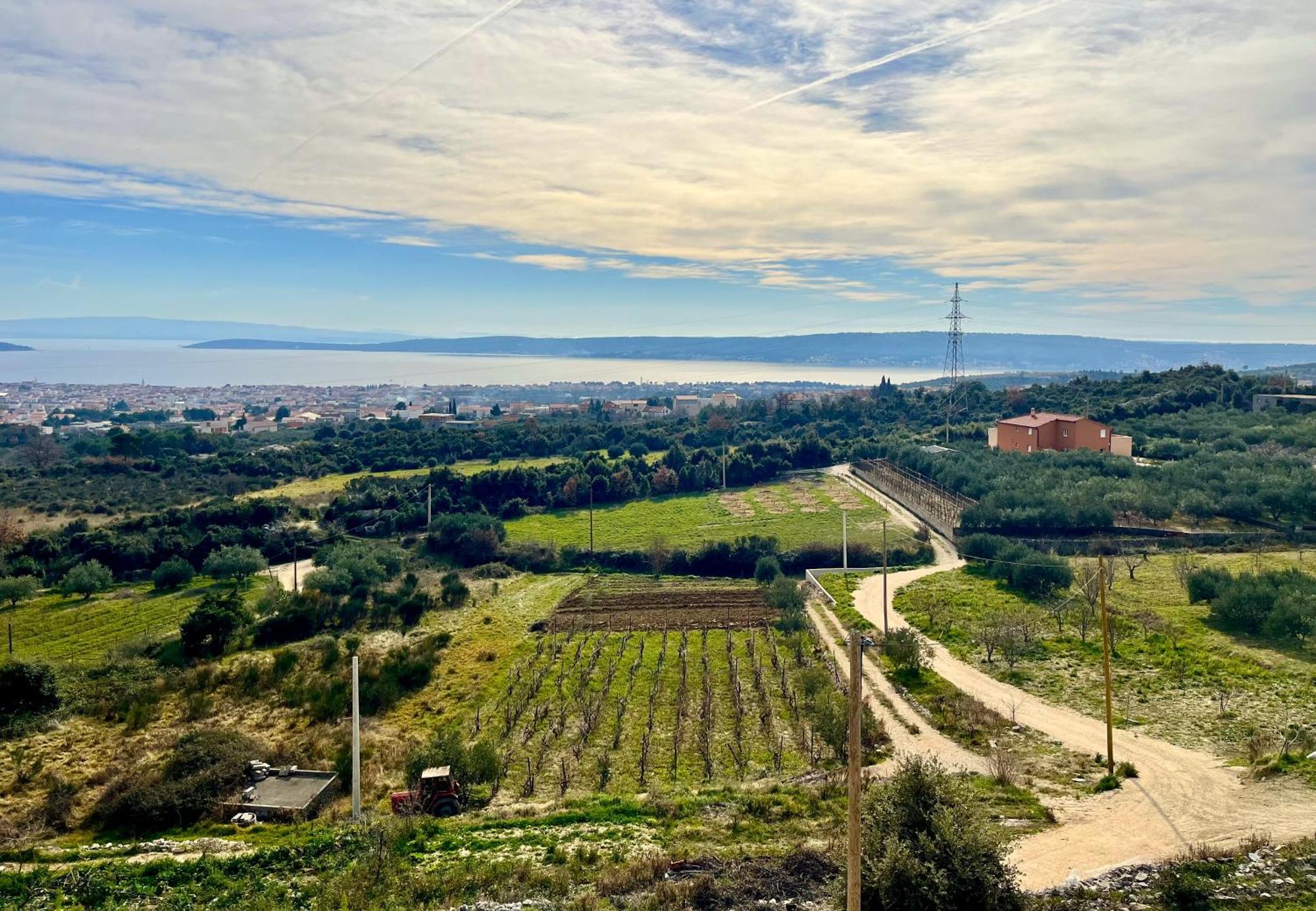 Villa Bepina, Surrounded By Sea, Olive, Vineyard Kastel Novi Exterior photo