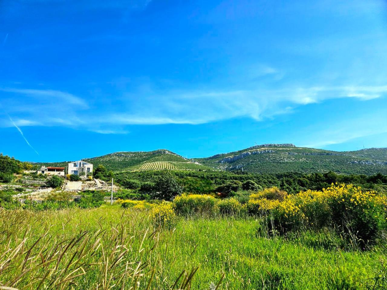Villa Bepina, Surrounded By Sea, Olive, Vineyard Kastel Novi Exterior photo